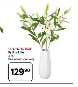 Tesco Kytice lilie nabídka