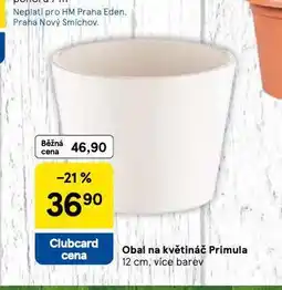Tesco Obal na květináč primula nabídka
