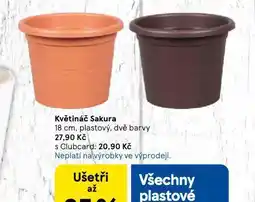 Tesco Květináč sakura nabídka
