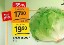 Flop Salát ledový nabídka