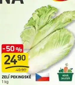 Flop Zelí pekingské nabídka