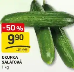 Flop Okurka salátová nabídka