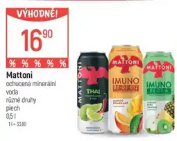 Globus Mattoni • ochucená minerální voda nabídka