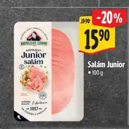 Albert Salám Junior 100 g nabídka