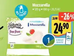 Albert Nature's Promise free from Mozzarella nabídka