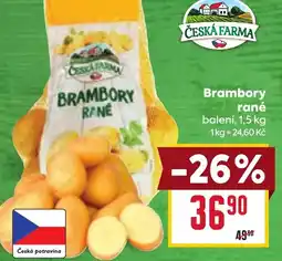 Billa Brambory rané nabídka