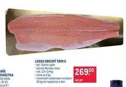 Makro LOSOS OBECNÝ TRIM C nabídka