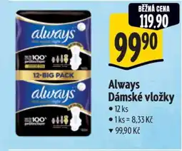 Albert Always Dámské vložky nabídka