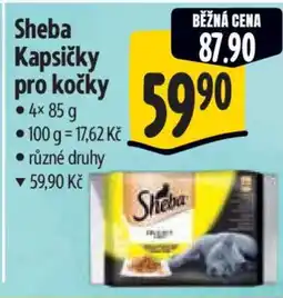 Albert Sheba kapsičky pro kočky nabídka