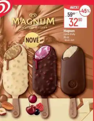 Globus Magnum různé druhy nabídka
