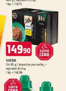 Terno Sheba kapsičky pro kočky nabídka