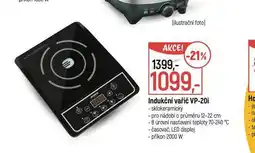 Globus Indukční vařič nabídka