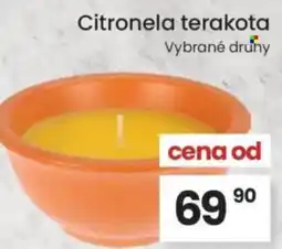 Kubík potraviny Citronela terakota nabídka