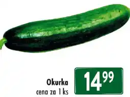Qanto Okurka nabídka