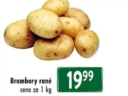 Qanto Brambory rané nabídka
