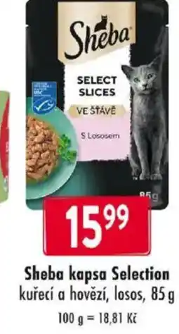 Qanto Sheba kapsa Selection kuřecí a hovězí, losos nabídka