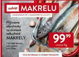 Qanto Přijímáme objednávky na mražené nekuchané makrely nabídka