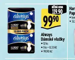 Albert Always dásmké vložky nabídka