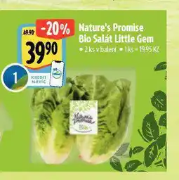 Albert Bio salát little gem nabídka