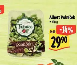Albert Polníček nabídka