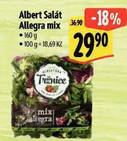 Albert Salát allegra mix nabídka