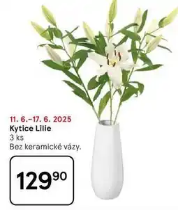Tesco Kytice Lilie, 3 ks Bez keramické vázy nabídka