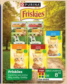 Tamda Foods Friskies kapsička pro kočky 85g, 4x85g, 12x85g nabídka