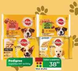 Tamda Foods Pedigree kapsička MP 4x100g nabídka