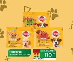 Tamda Foods Pedigree kapsička MP 12x100 g nabídka