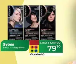 Tamda Foods Syoss Barva na vlasy 50ml nabídka