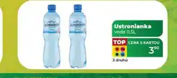 Tamda Foods Ustronianka voda 0,5L nabídka