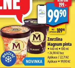 Albert MAGNUM Zmrzlina pinta nabídka