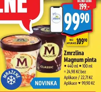 Albert MAGNUM Zmrzlina pinta nabídka