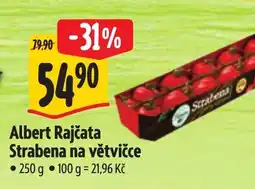 Albert Albert Rajčata Strabena na větvičce nabídka