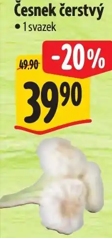 Albert Česnek čerstvý nabídka