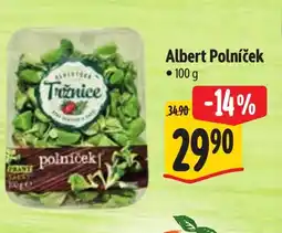 Albert Albert Polníček nabídka