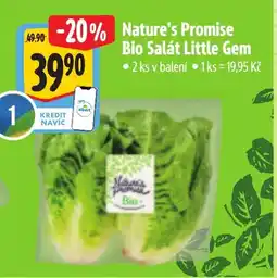 Albert Nature's Promise Bio Salát Little Gem nabídka
