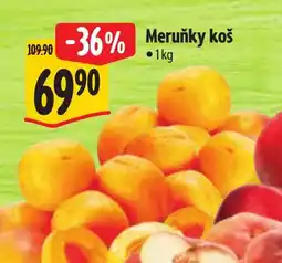 Albert Meruňky koš nabídka