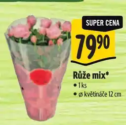 Albert Růže mix nabídka