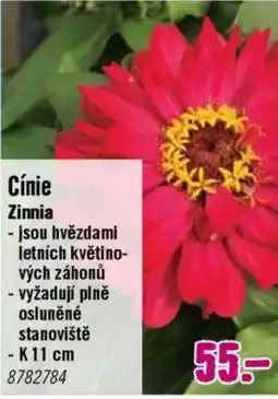 Hornbach Cínie nabídka