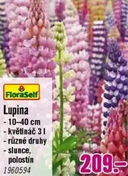 Hornbach Lupina nabídka