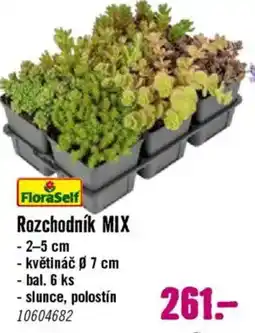 Hornbach Rozchodník mix nabídka