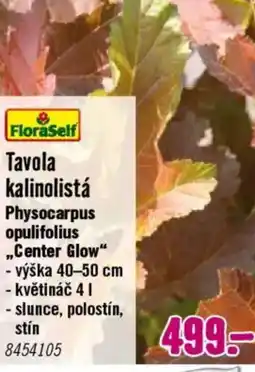 Hornbach Tavola kalinolistá nabídka