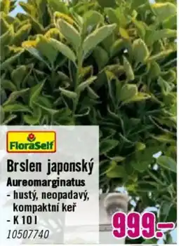 Hornbach Brslen japonský nabídka