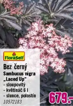 Hornbach Bez černý nabídka
