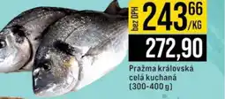 Jip Pražma královská celá kuchaná nabídka