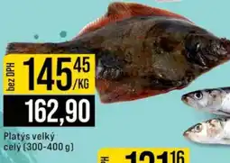 Jip Platys velký celý nabídka