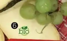 Jip Altbier pivní sýr bio nabídka