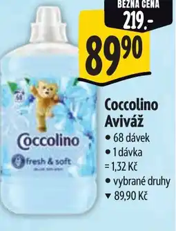Albert COCCOLINO Aviváž nabídka