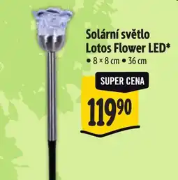 Albert Solární světlo Lotos Flower LED nabídka